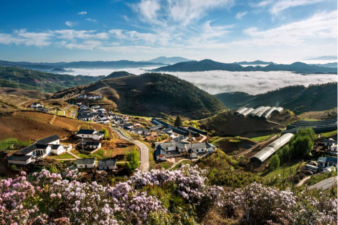 10 ag旗舰厅网站电气集团科技兴农 助力凉山火普村打造数字乡村804.png